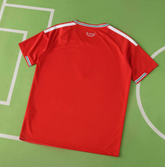 2026 wales home Jersey fans version