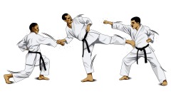 Japanese Judo Promotion: Three Classic Technique Icons in a Row