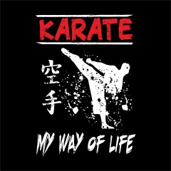 Japanese Karate Promotion: White Silhouette with High Kick