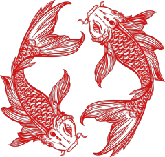 Chinese Opera Costume Koi Fish Decorative Wallpaper Pattern - Theatrical Flair Motif