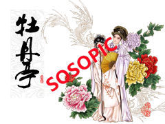 Traditional Chinese Opera Icon Patterns: Capturing Peking Opera's Essence