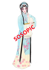Traditional Peking Opera: Graceful Ancient Maidens Pattern Set