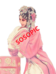 Traditional Chinese Opera: Heritage in Iconic Patterns