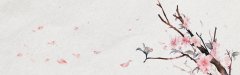 Artistic Chinese Ink - Wash Landscape Pattern Template for Packaging Solutions