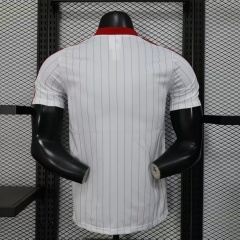 2025/26 Manchester United Casual Jersey Player Version