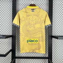 2025/26 Santos FC Special Edition Jersey