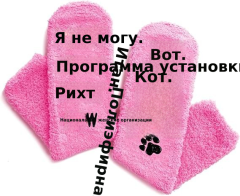 欧美跨境不掉毛珊瑚绒蛋糕袜亚马逊动物系列脚底字母点胶地板袜子