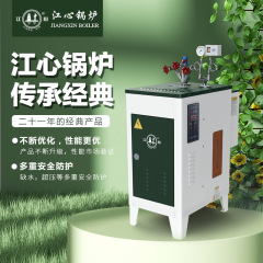 江心电加热锅炉服装熨烫水泥桥梁养护 蒸汽发生器 蒸汽锅炉