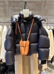 韩版长袖加厚连帽仿白鸭绒短款羽绒棉服女爆款小个外套2024冬外套