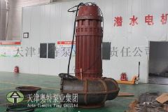 QLX潜水螺旋离心泵那家好,津奥特螺旋离心泵直销