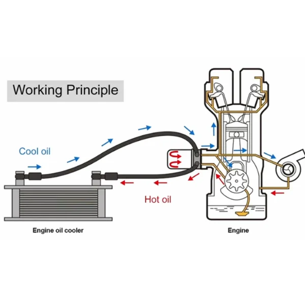 Understanding Oil Types: Full Synthetic, Synthetic Blend, and Conventional oil viscosity and cold start flow