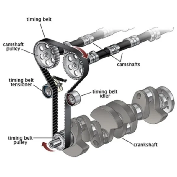 Timing belt diagram showing camshaft and crankshaft synchronization