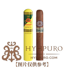 MONTECRISTO JUNIOR 15s 蒙特 少年 15支/盒