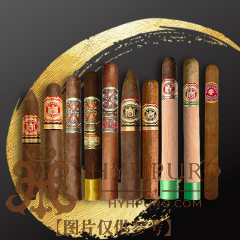 Arturo Fuente 阿图罗富恩 特精选品鉴样包 10支/包