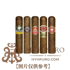COMBINACIONES SELECCION PETIT ROBUSTOS 10s 哈伯纳斯精选组合 精选雪茄礼盒 小罗伯图混合十支装 10支/盒