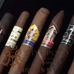 CAO Champions Sampler 潮牌 旅行高分雪茄包 10支/盒