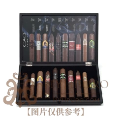 CAO Champions Sampler 潮牌 旅行高分雪茄包 10支/盒