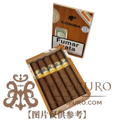 COHIBA SIGLO VI 10s 高希霸 世纪六号 10支/盒