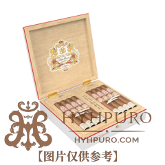 Don Pepin García Series JJ 20th Anniversary 17s 唐培平·加西亚 JJ系列 20周年纪念 17支/盒