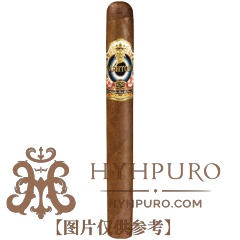 Ashton ESG 20 Year Salute Churchill 25s 阿什顿 ESG 20周年纪念 致敬 丘吉尔 25支/盒