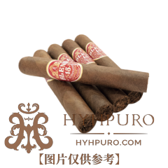 AJ Fernandez Blend 15 Short Robusto 15s AJ费尔南德斯 混合15 短罗布图 15支/盒
