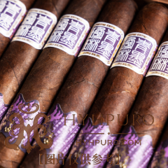 ChìMolly Pioneer Robusto 青墨琼琳 先驱罗布图 20支/盒