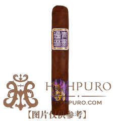 ChìMolly Pioneer Robusto 青墨琼琳 先驱罗布图 20支/盒