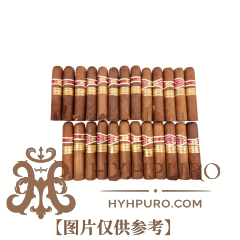 ROMEO Y JULIETA PETIT CHURCHILLS 25s 罗密欧与朱丽叶 小丘吉尔 25支 破损样盒 编号 (154)