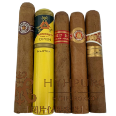 Cuba Habanos The Robusto Standard 5s 古巴哈瓦那 罗布图 品鉴包 5支/包(HP-09)