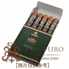 Plasencia Alma Fuerte Robustus II 5s 帕拉森 烈魂系列 烈魂 罗布图 2号 5支/盒