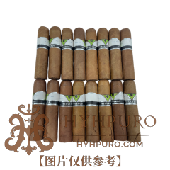 VEGUEROS CENTROGORDOS 16s 威古洛 胖迅驰 山特戈多纸盒 16支 破损样盒 编号 (252)