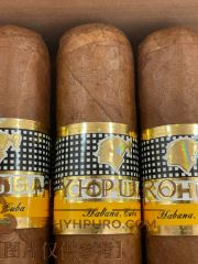 COHIBA SIGLO VI 25s 高希霸 世纪六号 2019年 木盒 25支/盒