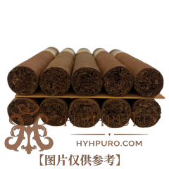 COHIBA SIGLO VI 10s 高希霸 世纪六号 2020年 木盒 10支/盒
