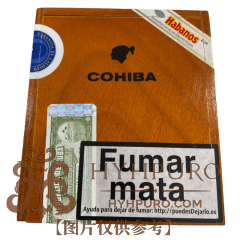 COHIBA SIGLO VI 25s 高希霸 世纪六号 2019年 木盒 25支/盒