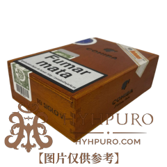 COHIBA SIGLO VI 10s 高希霸 世纪六号 2020年 木盒 10支/盒