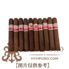 HOYO de MONTERREY SAN JUAN 10s 好友 圣胡安 10支 破损样盒 编号 (275)
