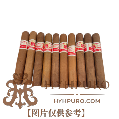 HOYO de MONTERREY SAN JUAN 10s 好友 圣胡安 10支 破损样盒 编号 (297)