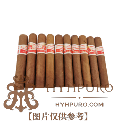 HOYO de MONTERREYL LE HOYO DE RIO SECO 10s 好友 德里约赛科 10支 破损样盒 编号 (330)