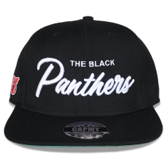 Snapback Cap - CMC-2012 ( High Quality Under Brim Print 100% Polyester Midde Crown Black Colour 6 Panel Snapback Cap Factory )