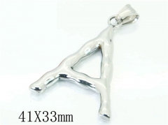 Stainless Steel Jewelry Wholesale - Stainless Steel Pendants - HY48P0133NY