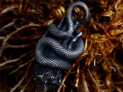 Stainless Steel Jewelry Wholesale - Stainless Steel Pendants - HY0012P1272