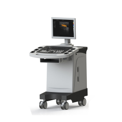FTL-UTS1000 Ultrasound Machine with Color Doppler Trolley,Fatali Medical equipment