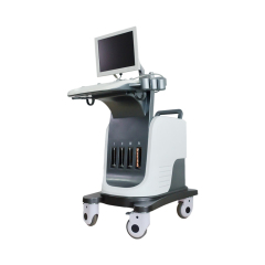FTL-UTS2600 High-end Medical Cardiovascular Ultrasound 4D Trolley Color Doppler Ultrasound System,Fatali Medical equipment