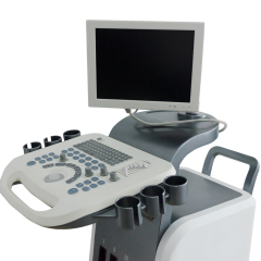 FTL-UTS2600 High-end Medical Cardiovascular Ultrasound 4D Trolley Color Doppler Ultrasound System,Fatali Medical equipment