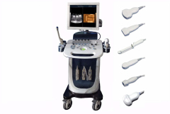 FTL-UTS2600 High-end Medical Cardiovascular Ultrasound 4D Trolley Color Doppler Ultrasound System,Fatali Medical equipment