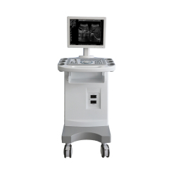 FTL-UTS80 Trolley B/W Ultrasound Cheap Full Digital Diagnostic price 15" HD display,Fatali Medical equipment