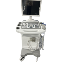 FTL-UTS80 Trolley B/W Ultrasound Cheap Full Digital Diagnostic price 15" HD display,Fatali Medical equipment