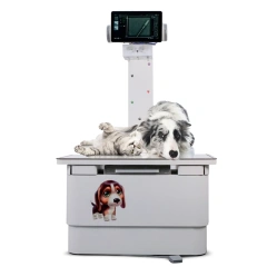 1.2m Veterinary X-ray Stand + Bed Digital X Ray Machine Accessories X-ray Tube Stand,Fatali Medical equipment