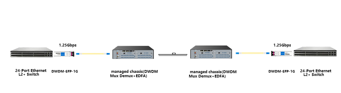 HYTOPTODEVICE long haul optical transmission solution, EDFA amplified DWDM network deployment