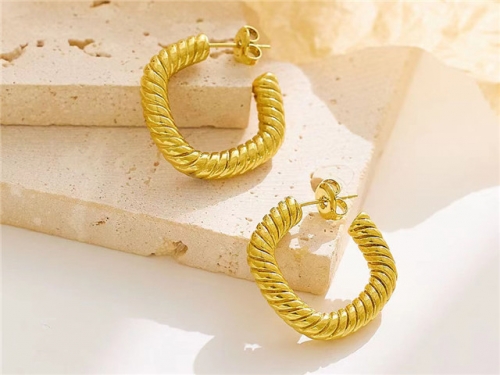 Wholesale Stainless Steel Jewelry - Stainless Steel Earrings - HY0076E0205 Wholesale Stainless Steel Jewelry - Stainless Steel Earrings - HY0076E0205